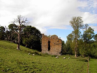 <span class="mw-page-title-main">Nether Horsburgh Castle</span>