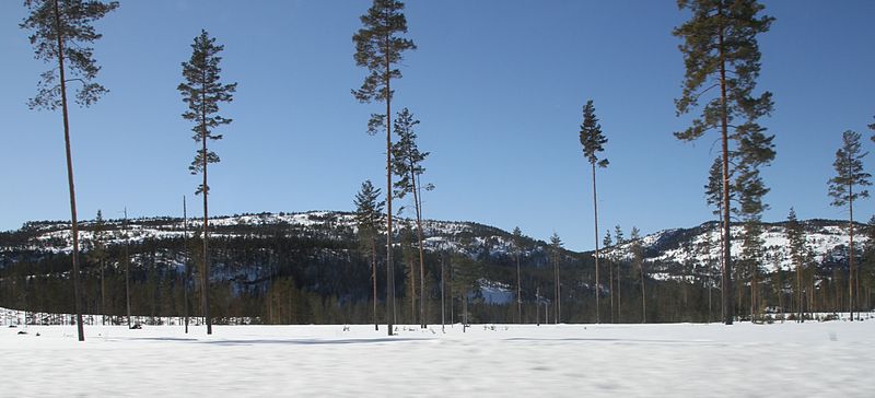 File:Nissedal south Terneholmen naturreservat IMG 2039 blekefjell 468m regnbogeheia 516m.JPG