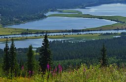 Nolavan i juli 2014. Närmast till vänster syns Noltjärn och längst bort till höger i bild skymtar Gautsträsk.