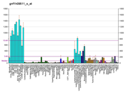 PBB GE EIF3S3 gnf1h09511 s в формате fs.png