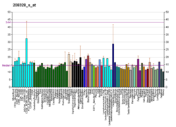 PBB GE MEF2A 208328 s fs.png'de