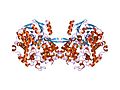 Thumbnail for Aldehyde ferredoxin oxidoreductase