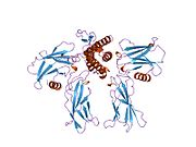 1eer: Kristalna struktura ljudskog eritropoietina u kompleksu sa njegovim receptorom na 1,9 angstrema