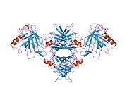 PDB 1rlb EBI.jpg