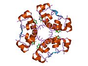 3aiy: R6 HUMAN INSULIN HEXAMER (SYMMETRIC), NMR, REFINED AVERAGE STRUCTURE