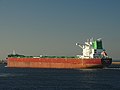 Pacific Myra (ship, 2019) IMO 9835898 leaving IJmuiden pic2.JPG