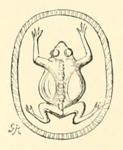 Frog on an engraved gem: the seal-device of Mecaenas.