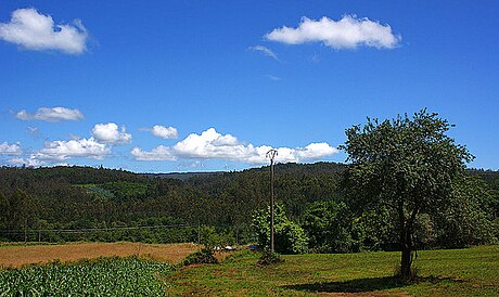 Verís, Irixoa