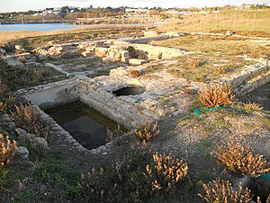 Tepidarium.