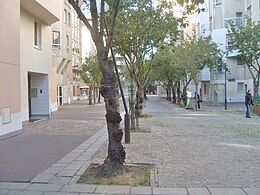 A Rue Simone-Weil cikk illusztráló képe