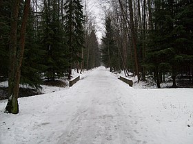 Przykładowa ilustracja artykułu Serguievka Park