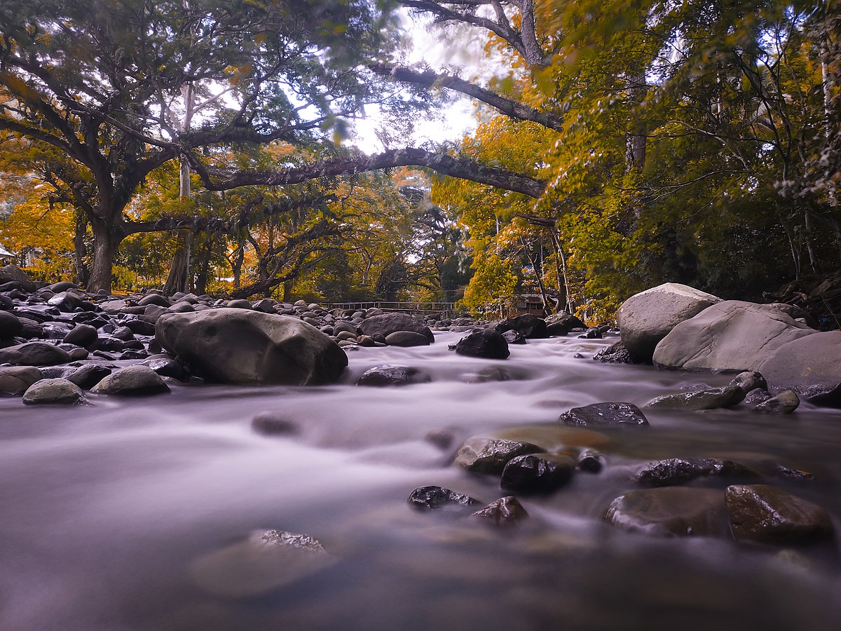 Pasonanca Natural Park - Wikipedia