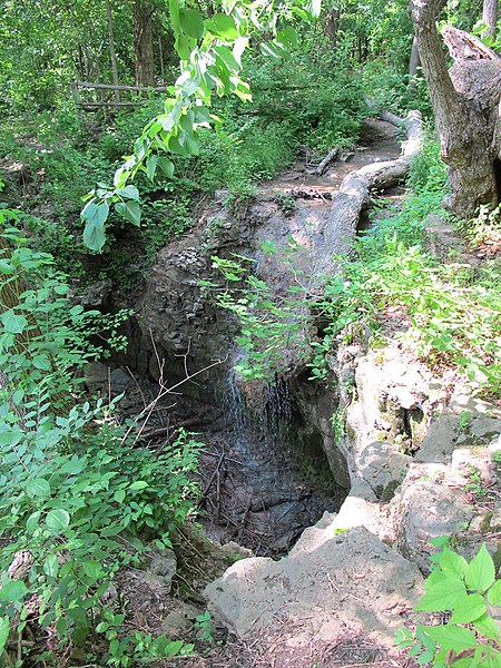 File:Pattyfalls Englewood MetroPark.jpeg