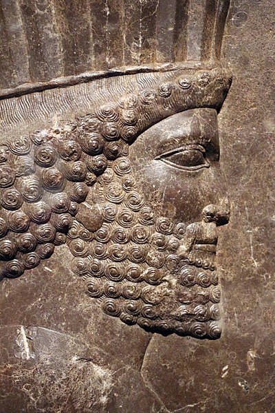 File:Periodo achemenide, rilievo con guardia persiana, da persepoli, 480 ac ca. 02.jpg
