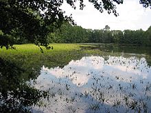 Flachsee an der Klinkenmühle