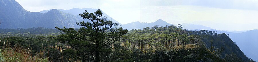 Национальный парк Пхусойдао