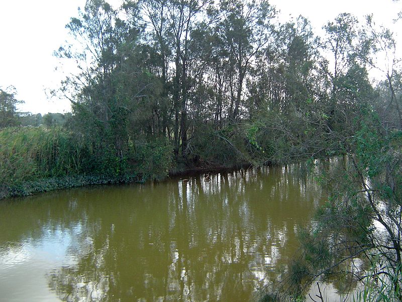 Coomera River - Wikipedia