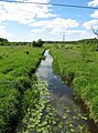 Polski: Widok z mostu na rz. Płoska w pobliżu wsi Zajma, gm. Michałowo, podlaskie English: View from a bridge over Płoska river near the Zajma village, gm. Michałowo, podlaskie, Poland