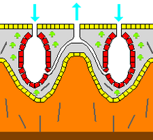 Sponge - Wikipedia