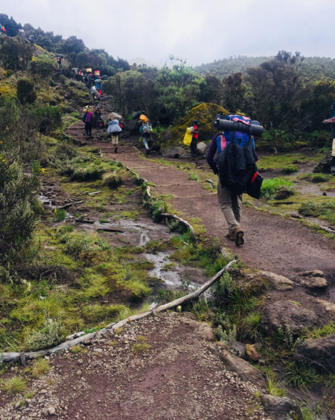 File:Porteurs sur la voie Machame en janvier 2020.png