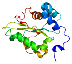 Протеин EEF1G PDB 1pbu.png