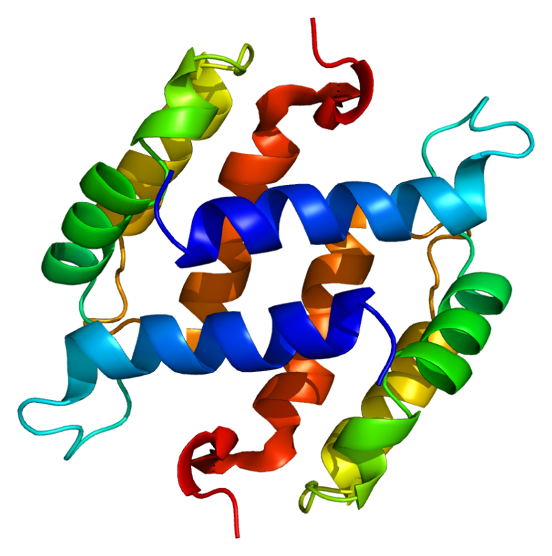 Повышенный белок s100. Протеин s100b. Белок s100 s. Белок s-100 функции. Молекула белка.
