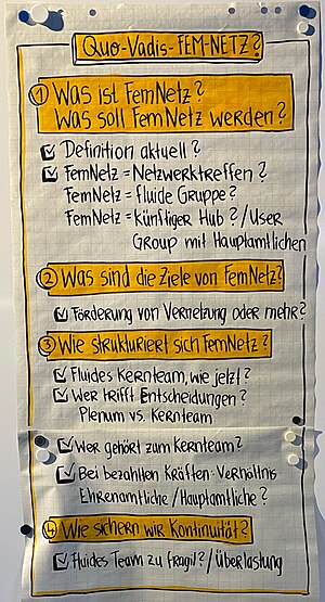 Alt=Leitfragen während Quo vadis FemNetz?