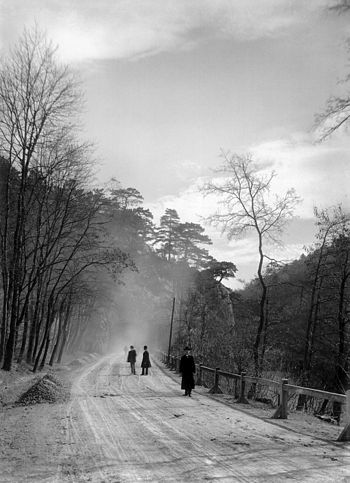 A village road in Rapallo, Italy, 1890. By I. K. Inha.