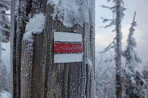 Hiking stripe sign of a tourist route in Czechia