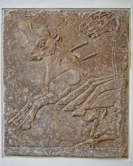 Refined low-relief section of a bull-hunt frieze from Nineveh, alabaster, c. 695 BC (Pergamon Museum), Berlin.