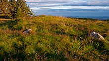 Les restes du cairn sur Montpelier Hill.