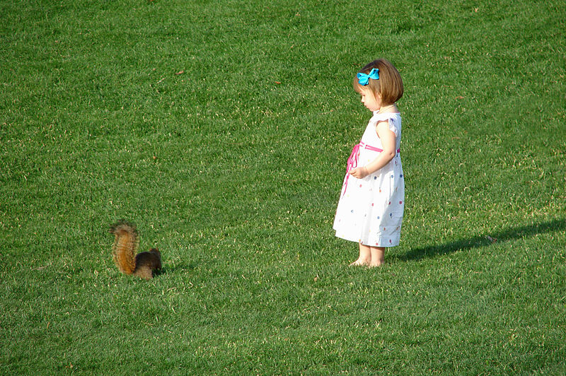 File:RetouchedGirlAndSquirrel-1980.jpg