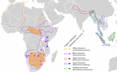 Rhinocerotidae distribution map en.png