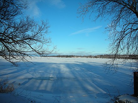 Ice on Rice Lake, seen from Courtis Point.