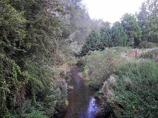 River Chelmer near Flitch Way, Dunmow - geograph.org.uk - 2607471