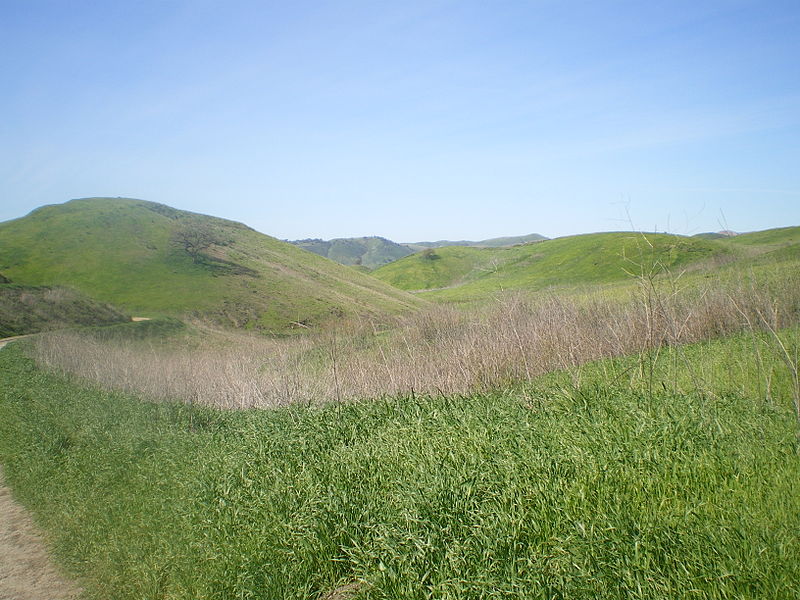 The White Glades 800px-Rolling_Hills_at_Upper_Las_Virgenes_Canyon