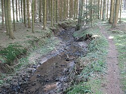 Rotenbach in Bachmulde im Matzengehrer Wald.jpg