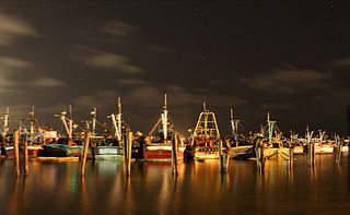 Royapuram fishing harbour Major fishing ground in Chennai, India