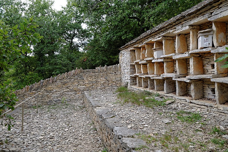 File:Rucher de la Combe à la Serpent - Corcelles-les-Monts 07.jpg