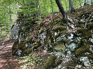 Remains of the Rauhaus Castle