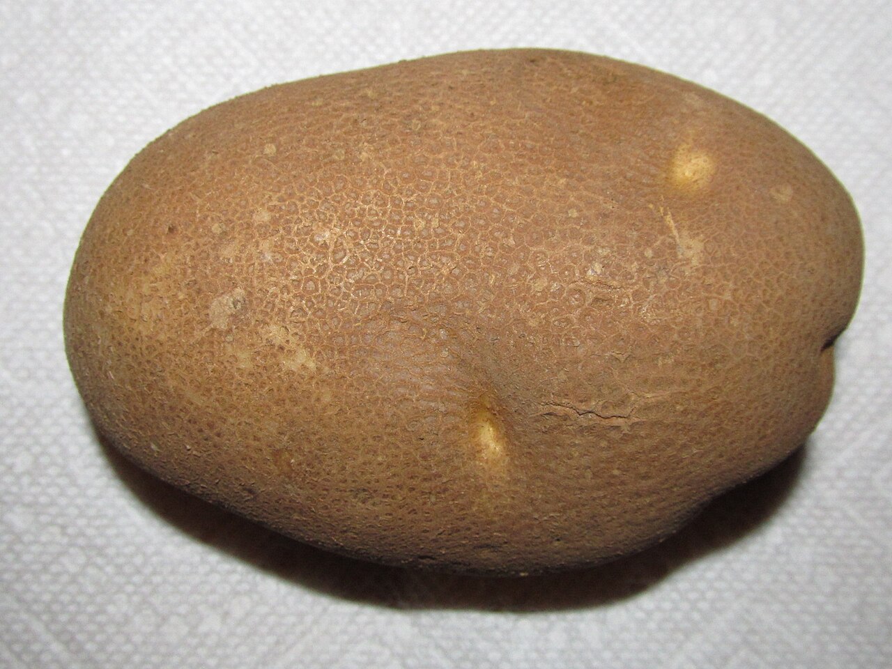 Russet potato - Wikipedia