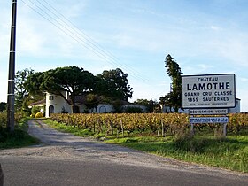 Château Lamothe (Sauternes) makalesinin açıklayıcı görüntüsü