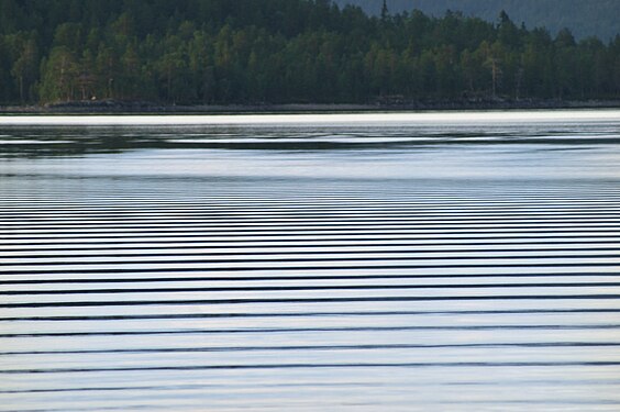 Very uniform waves in calm water on lake Savalen, Norway