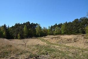 Schleswig-Holstein, Gudendorf, Landschaftsschutzgebiet NIK 5895.jpg