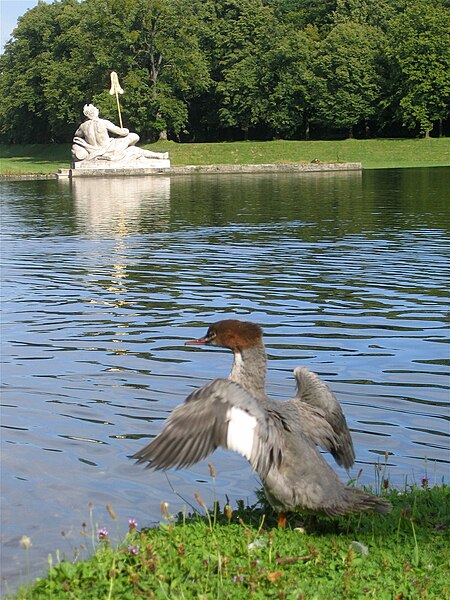 File:Schlosspark Nymphenburg Gaensesaeger-2.jpg