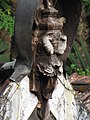 Sculpture placed on the roof of Temple view from Koovery