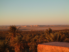 Timimoun, l'oasis, la sebkha et les premiers cordons dunaires du Grand Erg Occidental à la tombée du jour.