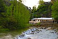 Shangla kpk.jpg