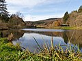 Silbersee im November