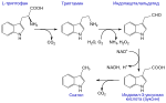 Neue Vektorgrafik